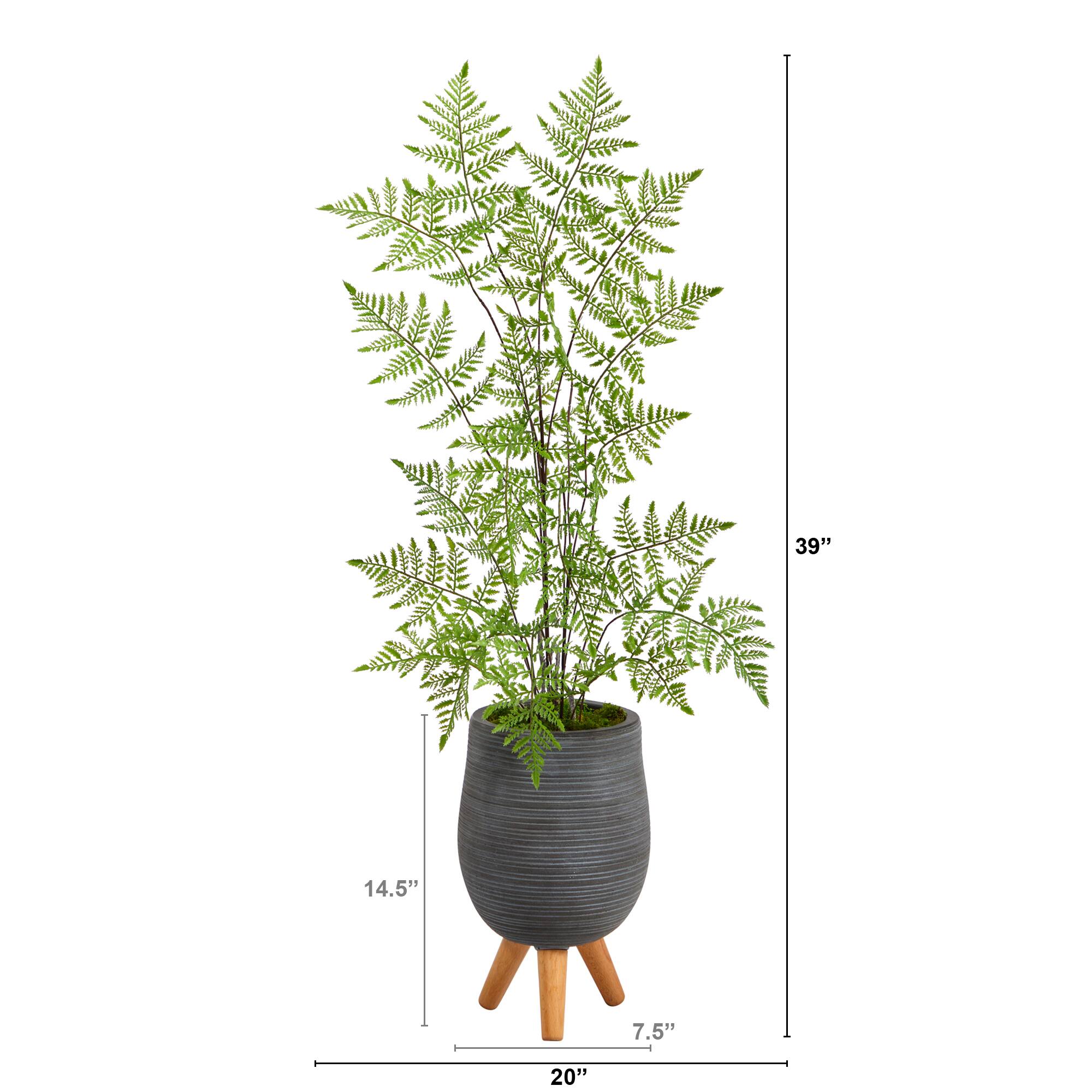 3ft. Ruffle Fern Tree in Gray Planter with Stand